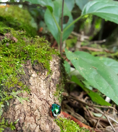 Imagem Socioambiental