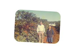 First coffee plantation. Santa Mariana – PR. 1970. Grandparents Mr. José.