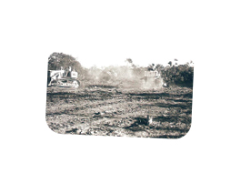 Conquering of the Cerrado (Savanna region). 1974. Beginning of the PADAP project