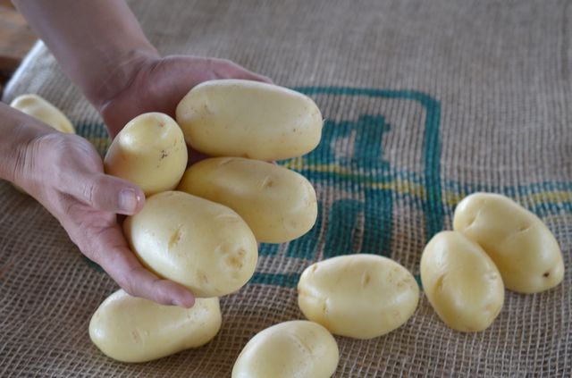 Imagem Produtos